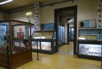 Sala della Zoologia al Museo Civico di Storia Naturale di Ferrara. Fotografia di Carla Corazza ©