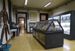 Sala espositiva del Museo Civico di Storia Naturale di Ferrara, dedicata ai fossili. Fotografia di Carla Corazza ©