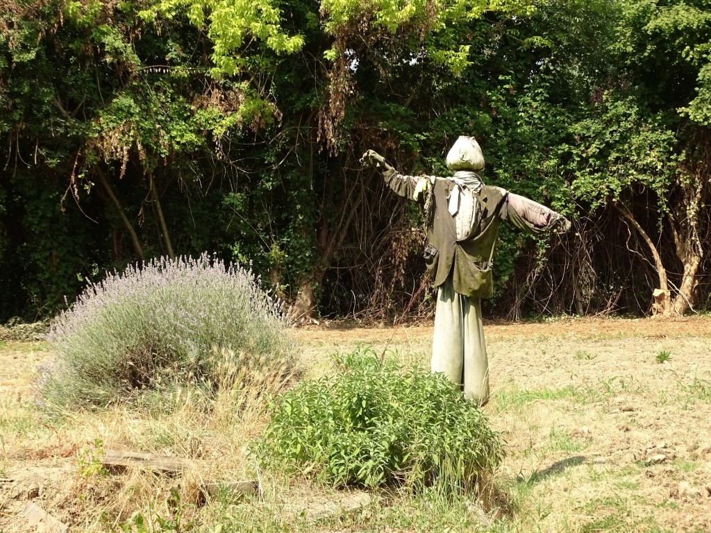 The countryside within the walls