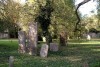 Lapidi del Cimitero Ebraico in Via delle Vigne. Fotografia Baraldi. © IAT Ferrara - Ferrara Terra e Acqua