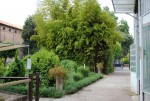 L’Orto Botanico dell’Università di Ferrara
