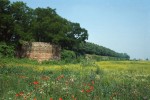 Mura con fuciliere