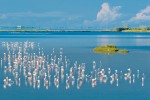 Percorsi d'acqua, Parco del Delta: dalla sacca di Goro alla foce del fiume Po