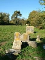 Lapidi del cimitero ebraico di via delle Vigne