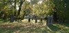 Lapidi del Cimitero Ebraico in Via delle Vigne. Fotografia Baraldi. © IAT Ferrara - Ferrara Terra e Acqua