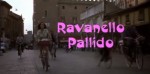 Ravanello Pallido